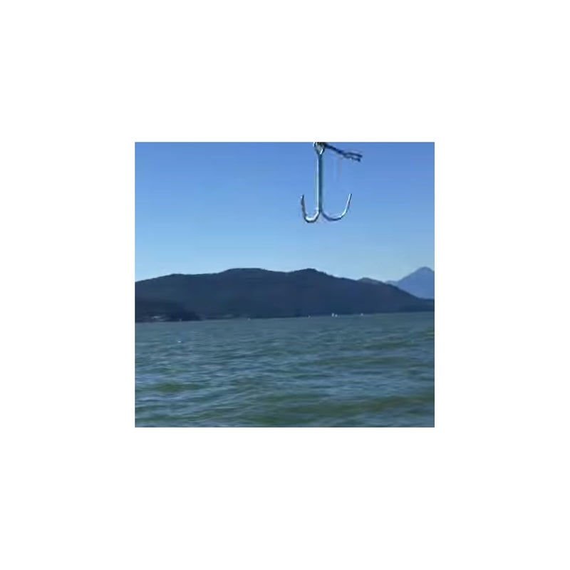 KUFA Galvanized Steel Grapple Hooks, 8" H x 5" W - Image 1